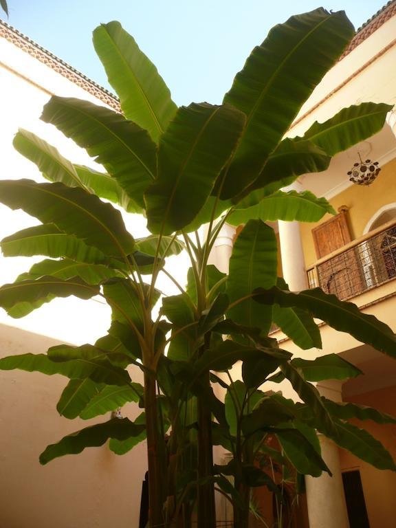 Riad Ker Saada Marrakesh Eksteriør bilde